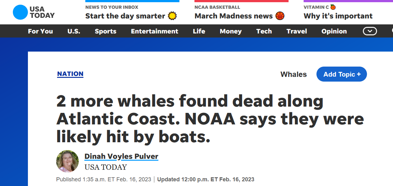 Морские ветряные турбины убивают китов