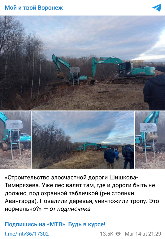 В Воронеже строят дорогу на территории памятника природы
