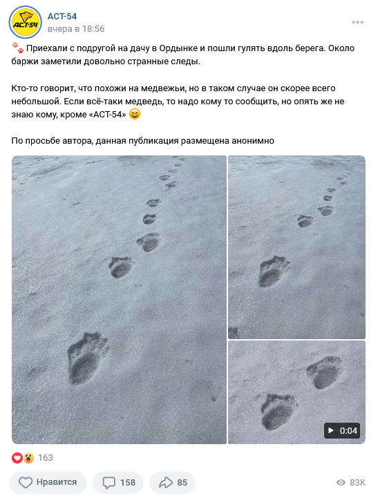 На берегу реки в Новосибирской области нашли следы неизвестного животного