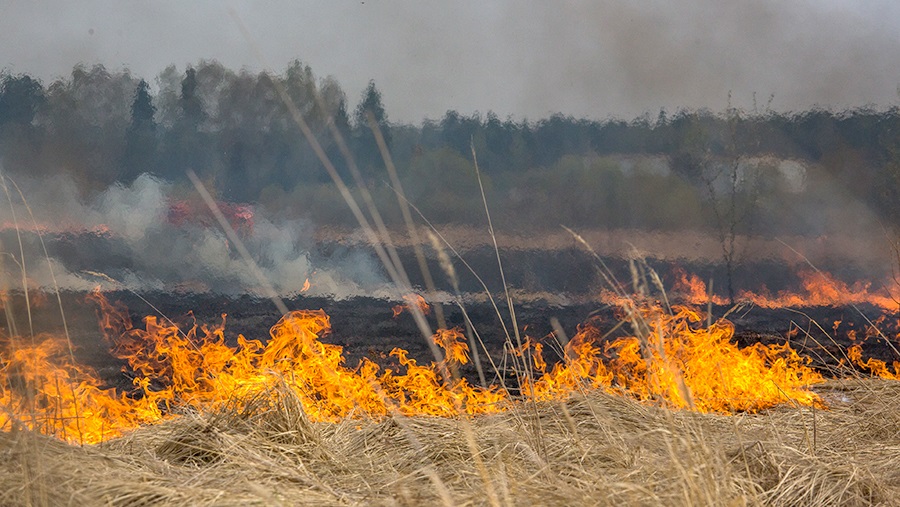 Бурятские пожарные случайно сожгли половину села Солонцы