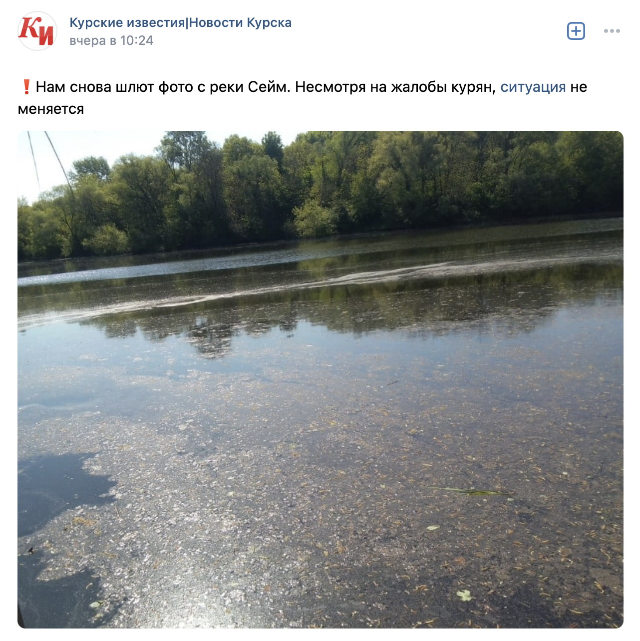 Река Сейм в Курской области загрязнена