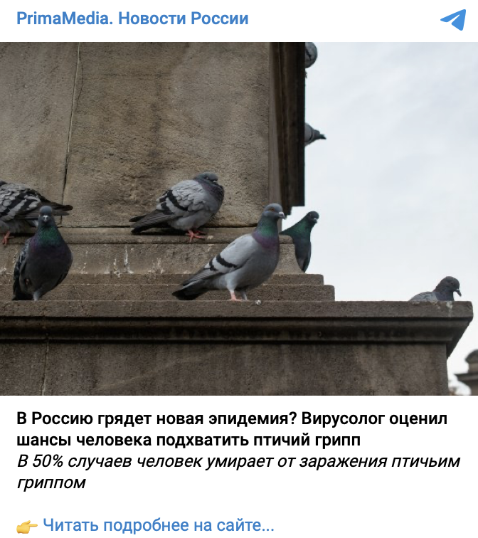 В России начинается эпидемия птичьего гриппа