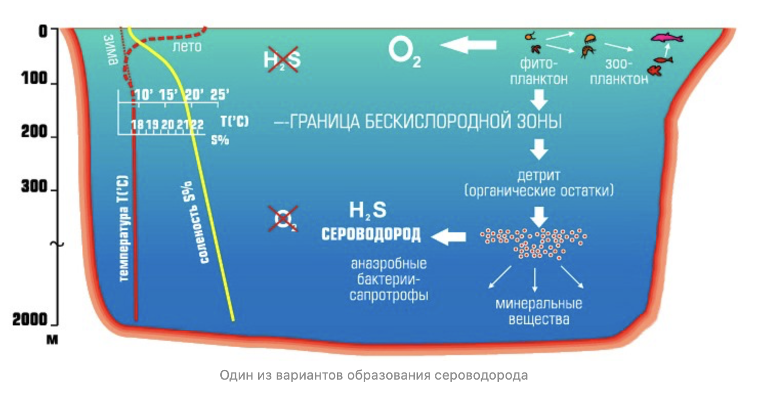 Определить сероводород в воде. Черное море сероводород на глубине. Чёрное море сероводородный слой. Чёрное море сероводородный слой глубина. Черное море структура сероводород.
