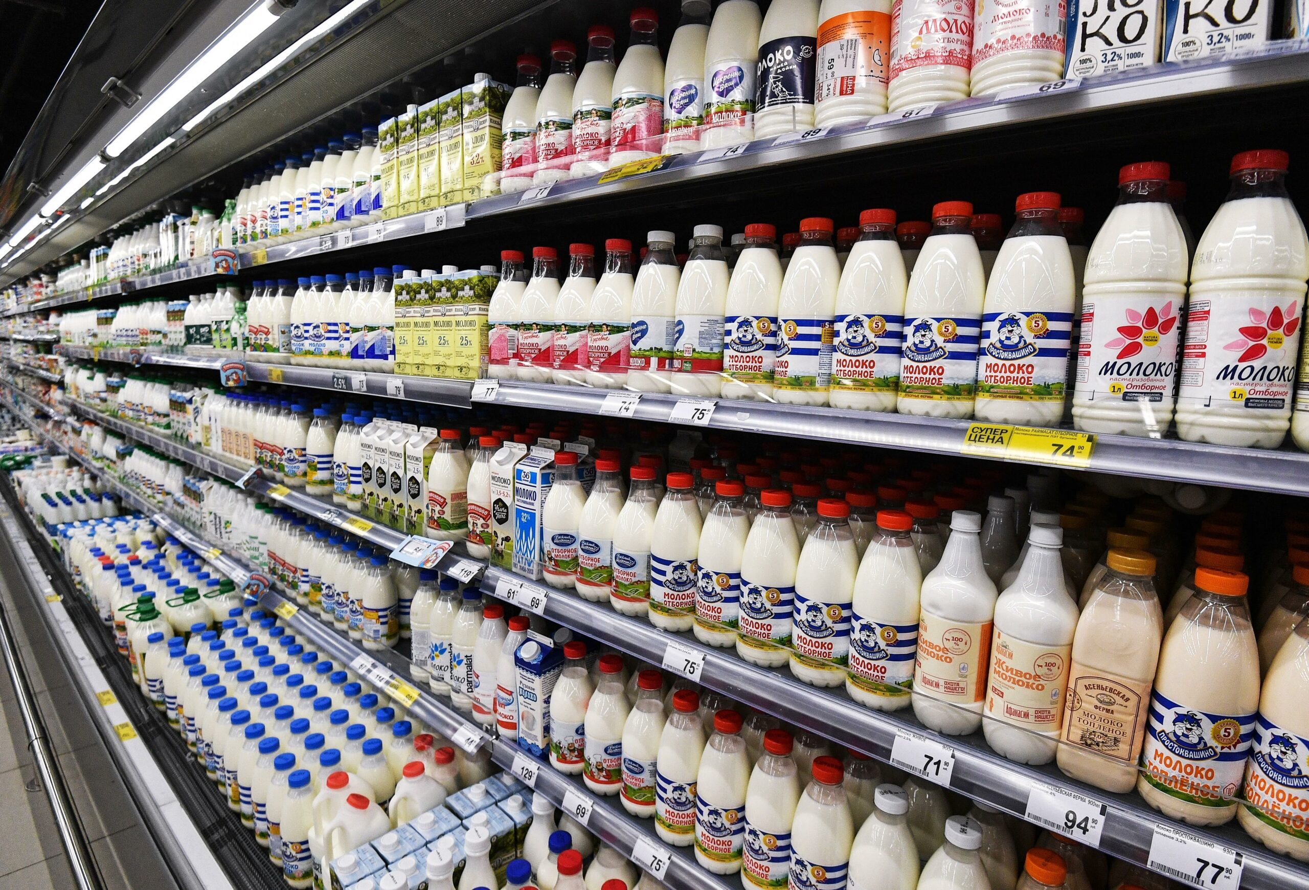 С полок новосибирских магазинов пропало молоко местных производителей