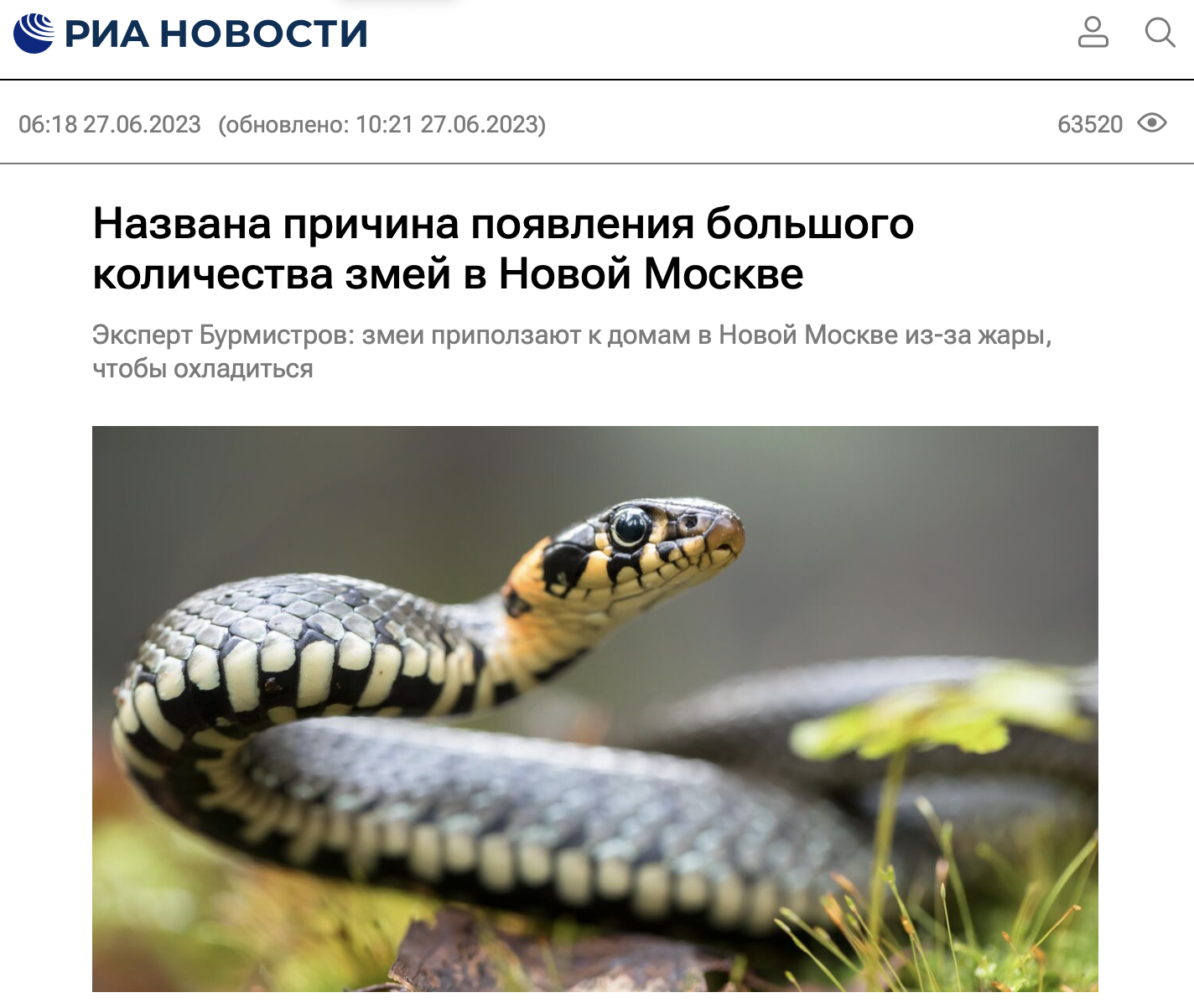названа причина большого количества змей в Новой Москве