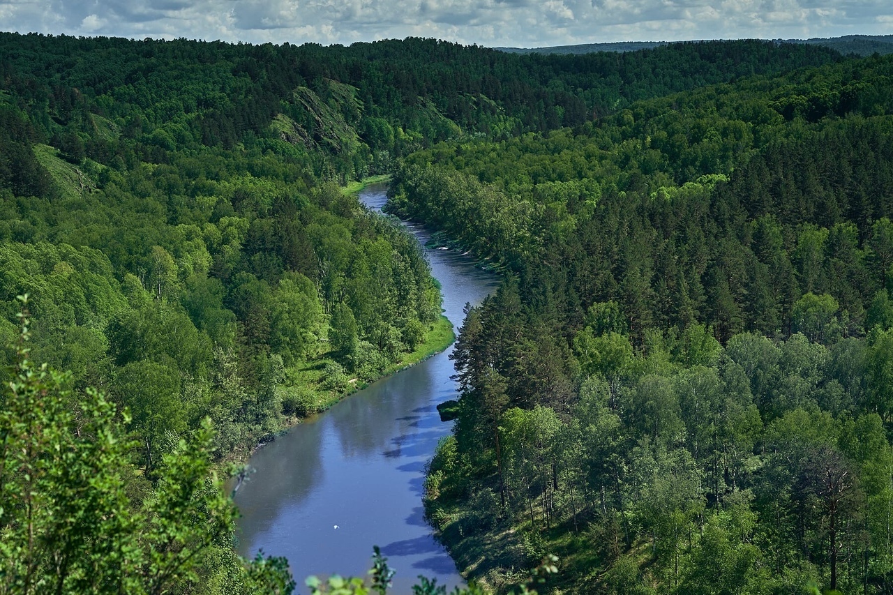 Под Новосибирском река Бердь изменила цвет на ярко-зеленый