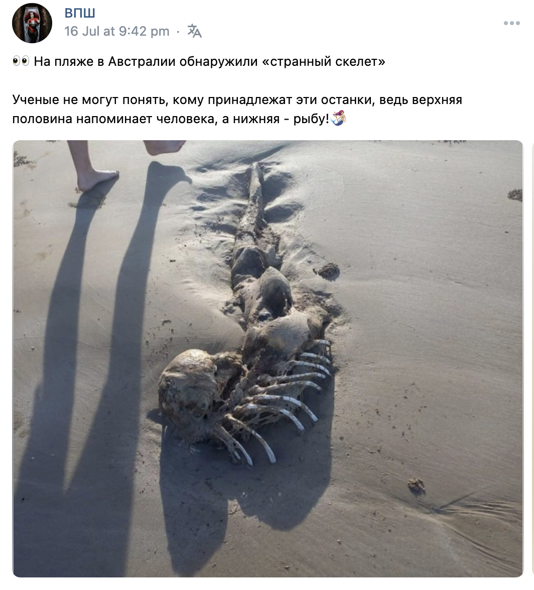 кости русалки нашли на пляже в Австралии