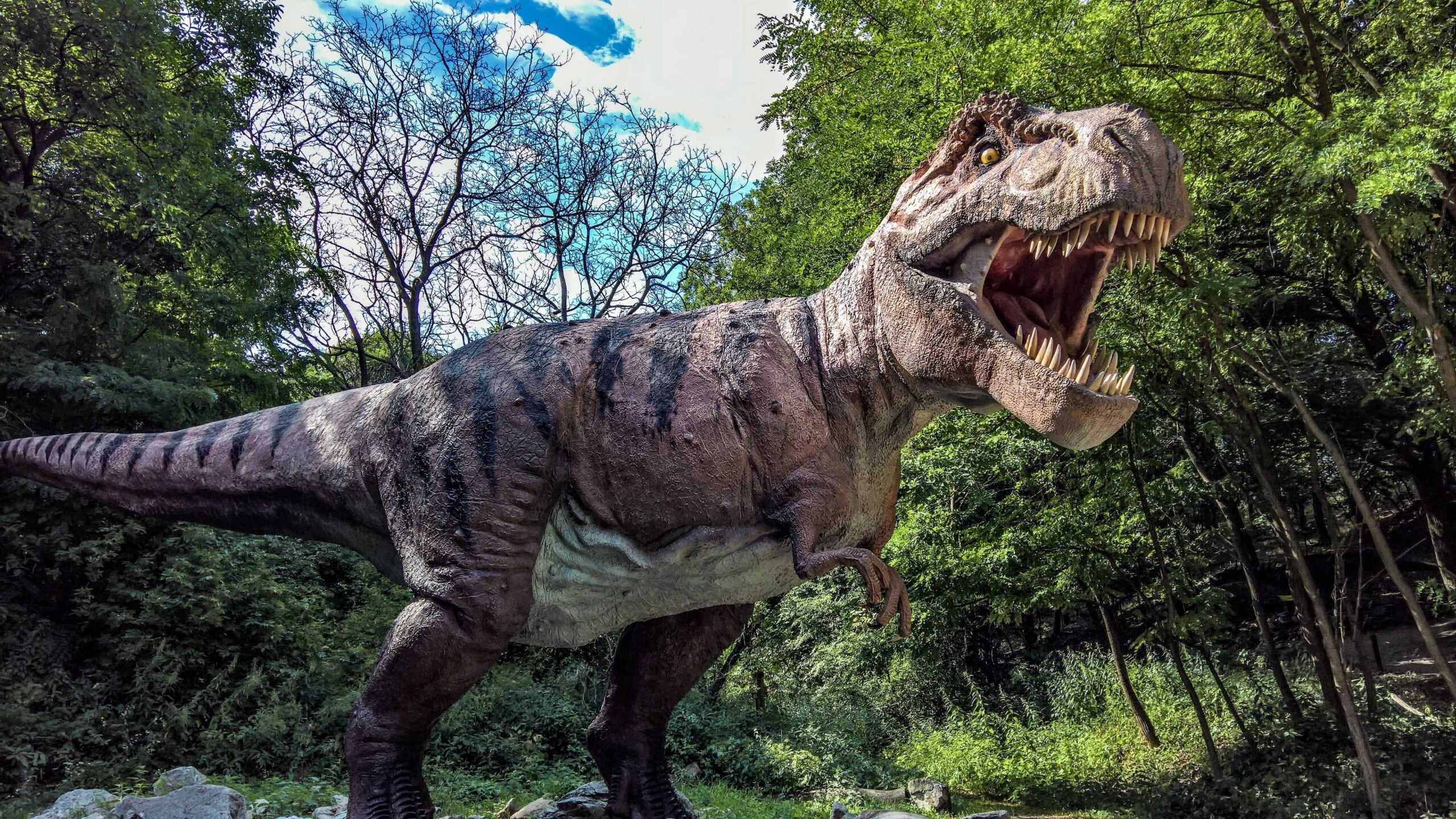 В Китае нашли остров с динозаврами