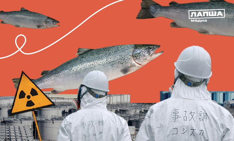 Сброс воды с АЭС «Фукусима-1»: главные фейки