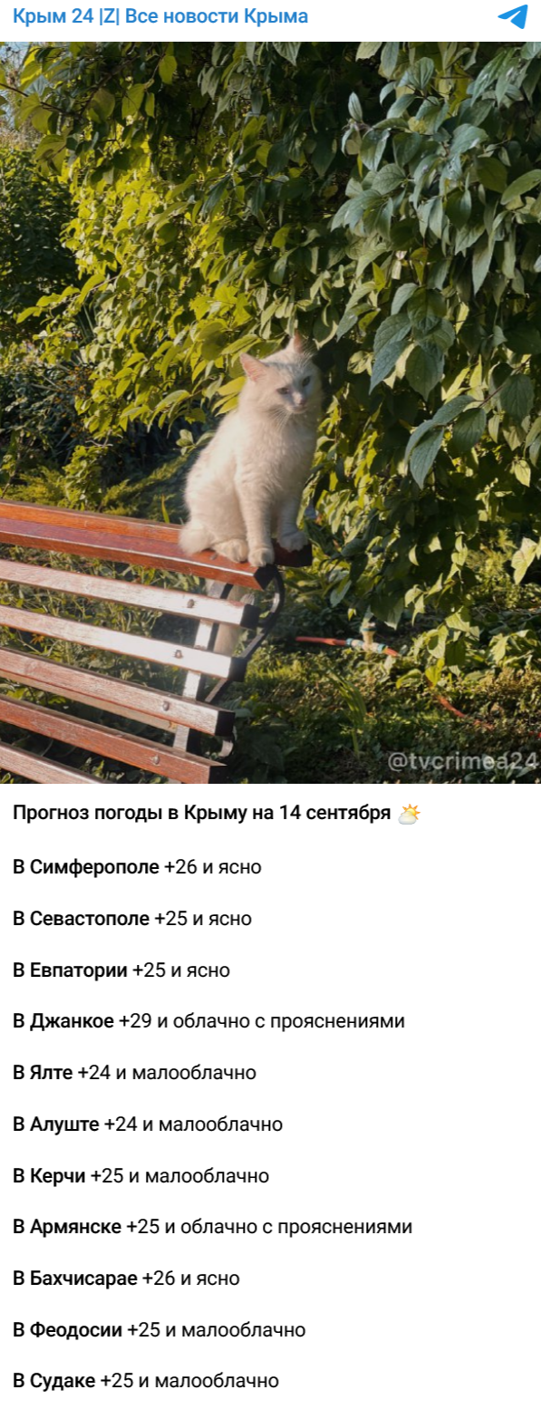 Screenshot 2023 09 15 At 15 53 40 Krym 24 Z Vse Novosti Kryma