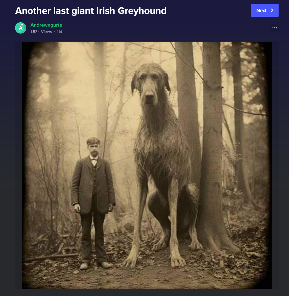 last giant Irish Greyhound