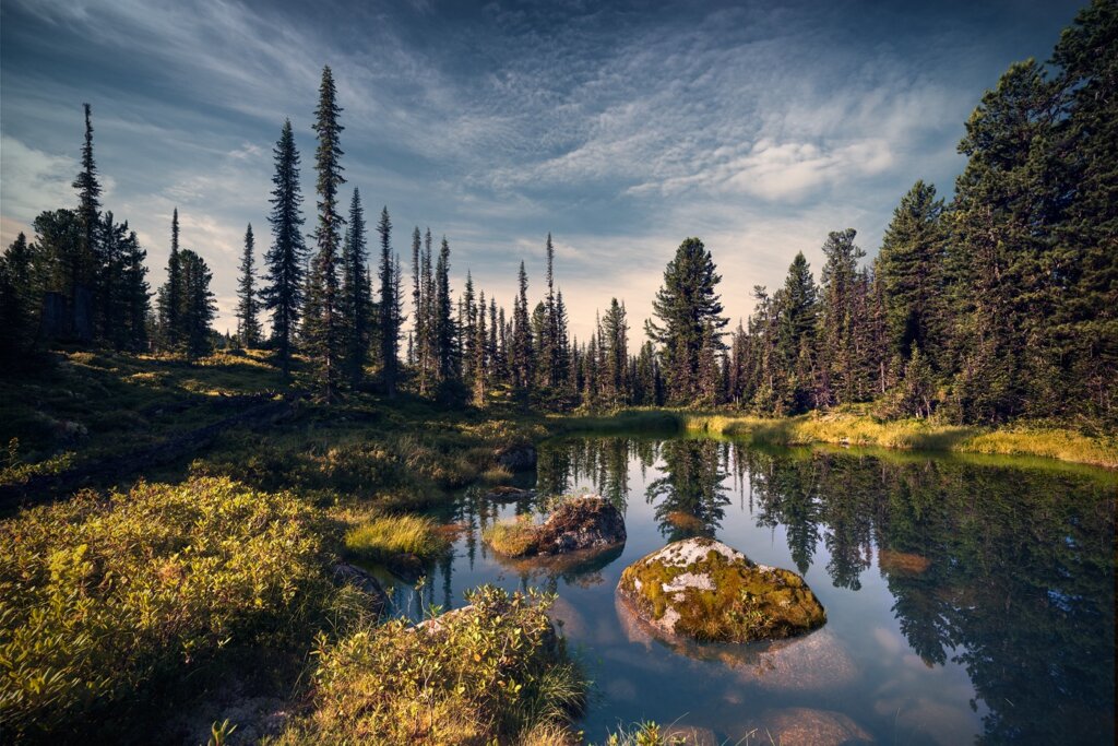 Tg Image 686207484