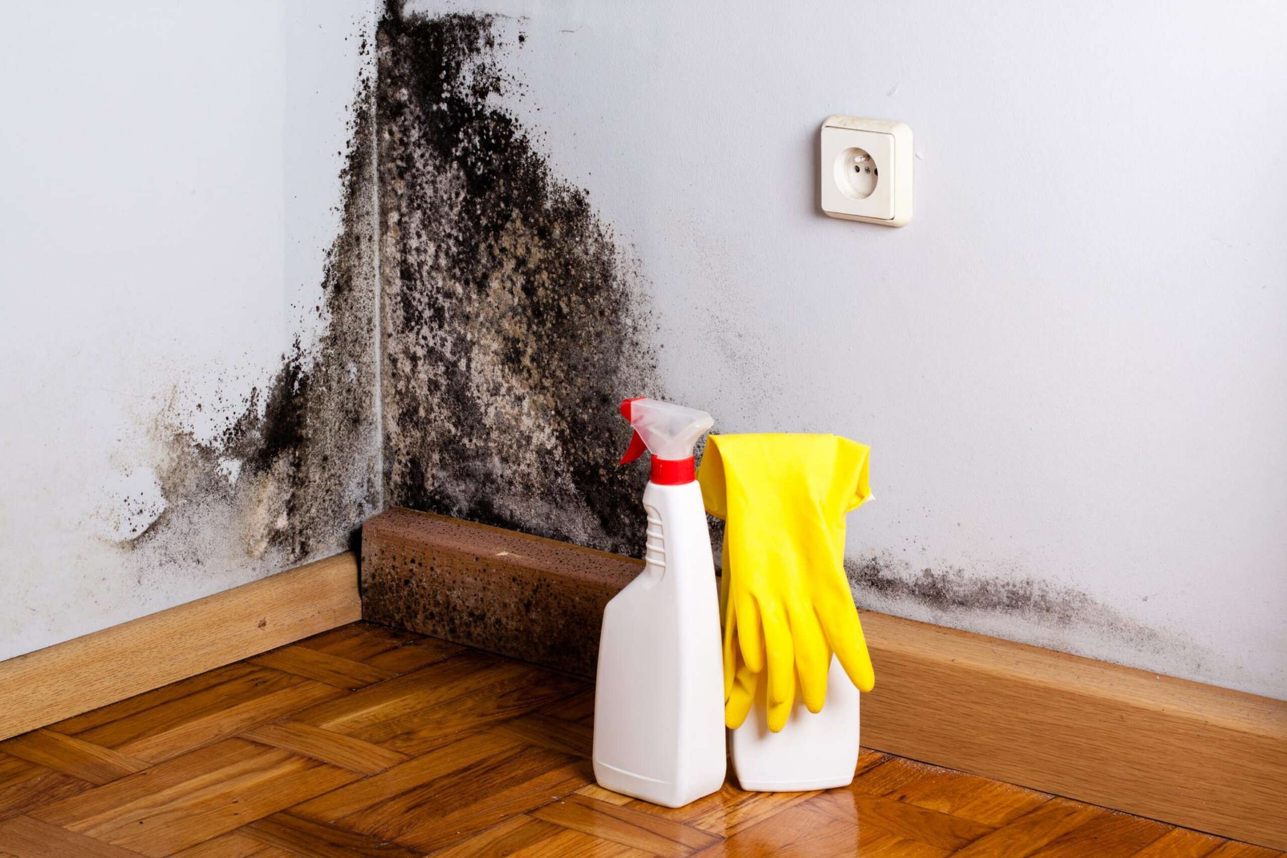 Почему дома много пыли