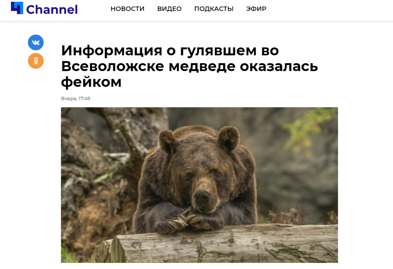 информация о гулявшем во Всеволожске медведе оказалась фейком