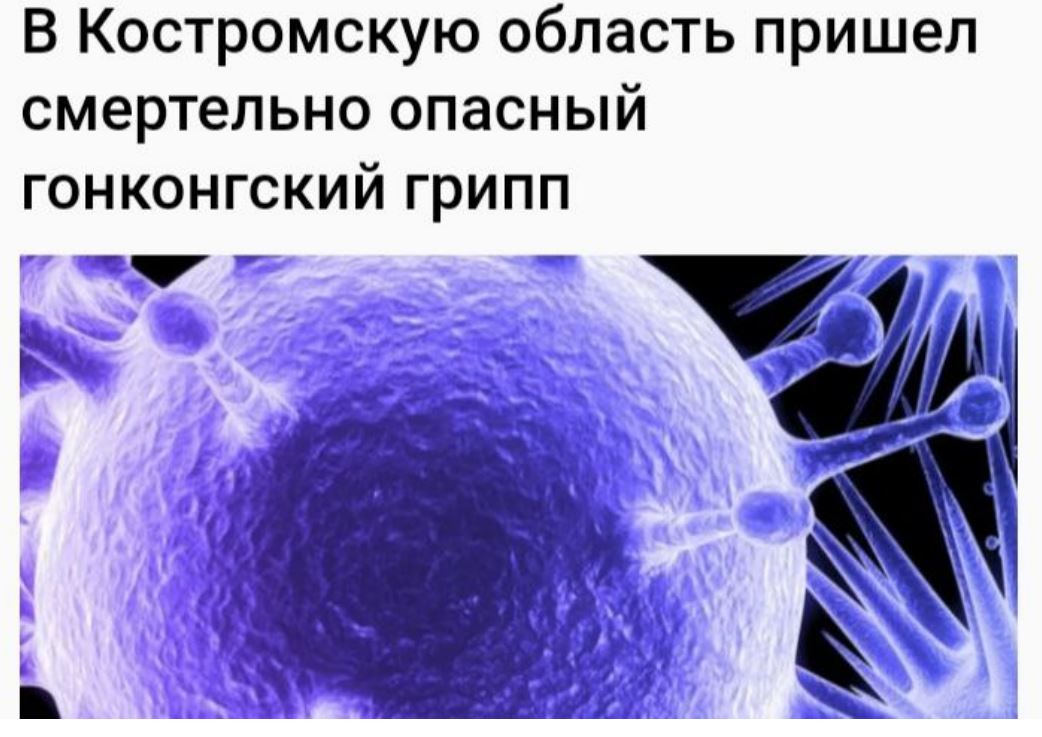 В Костромскую область пришел смертельно опасный гонконгский грипп