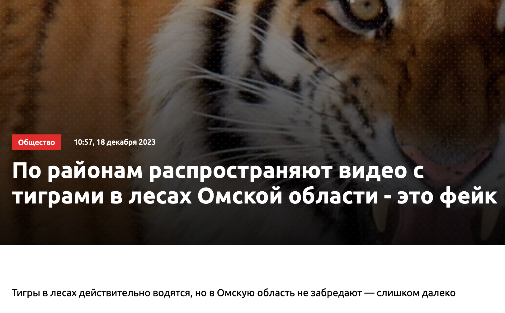 тигры в лесах под Омском оказались фейком