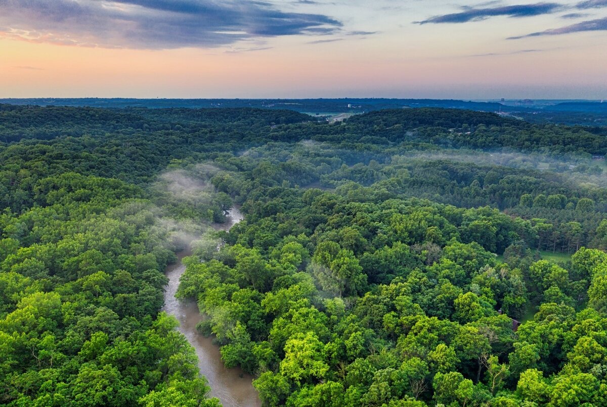 20% кислорода на Земле производят леса Амазонии