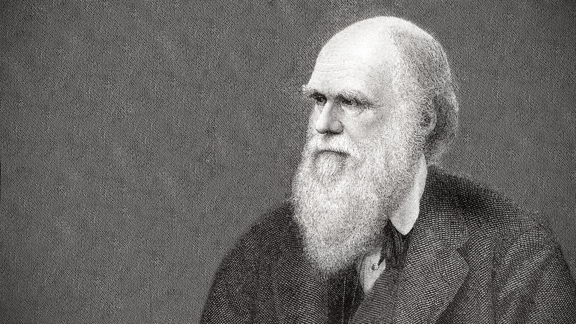 Чарльз Дарвин первым выдвинул тезис о том, что человек произошел от обезьяны