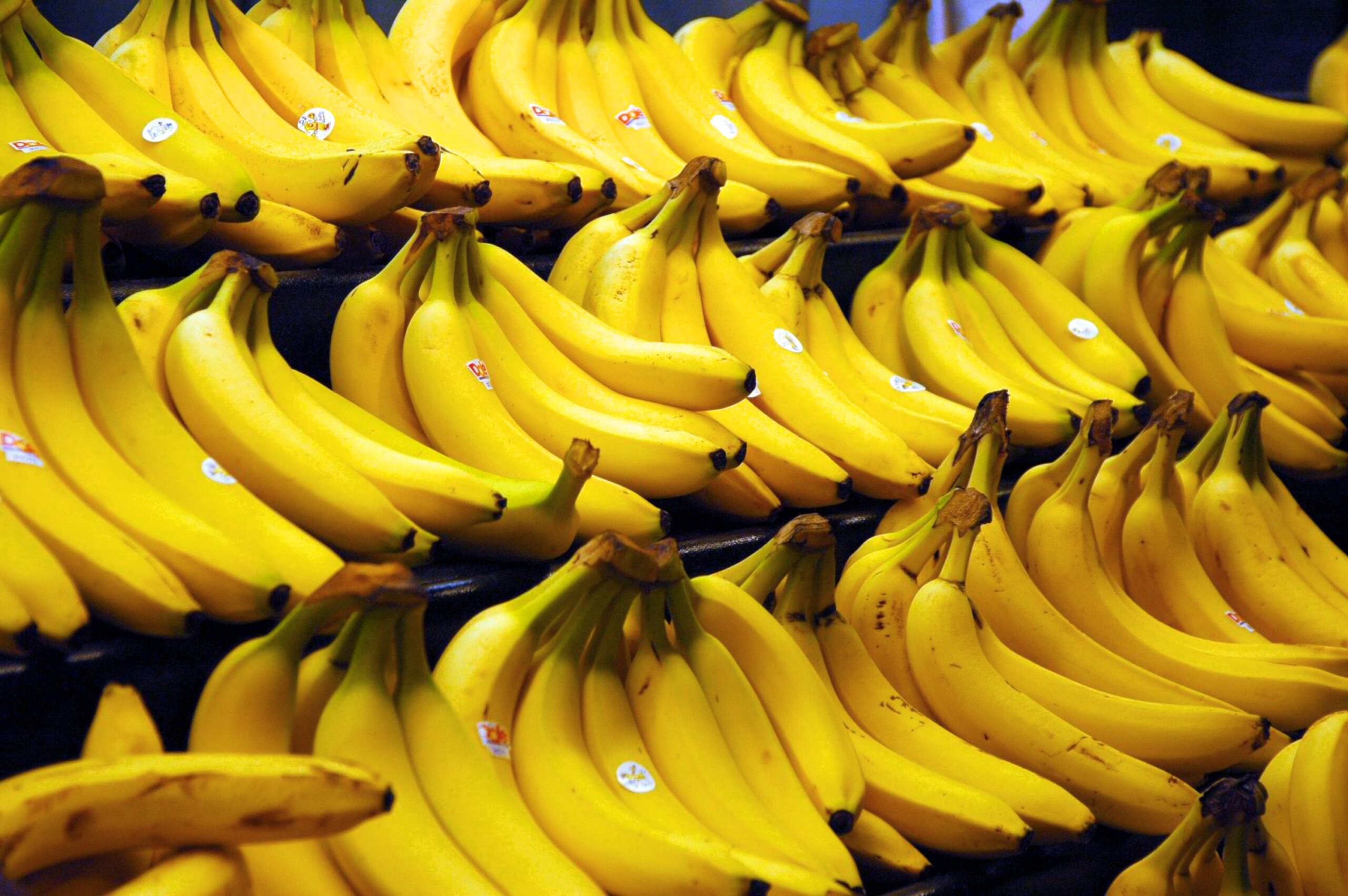 Россию накроет дефицит бананов из Эквадора