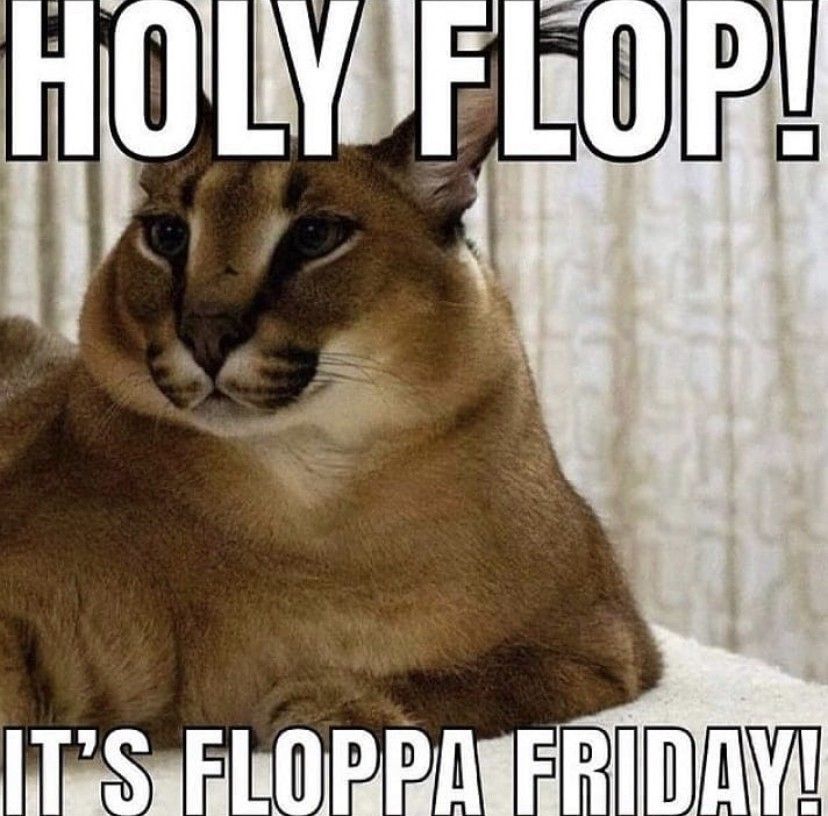 its floppa friday