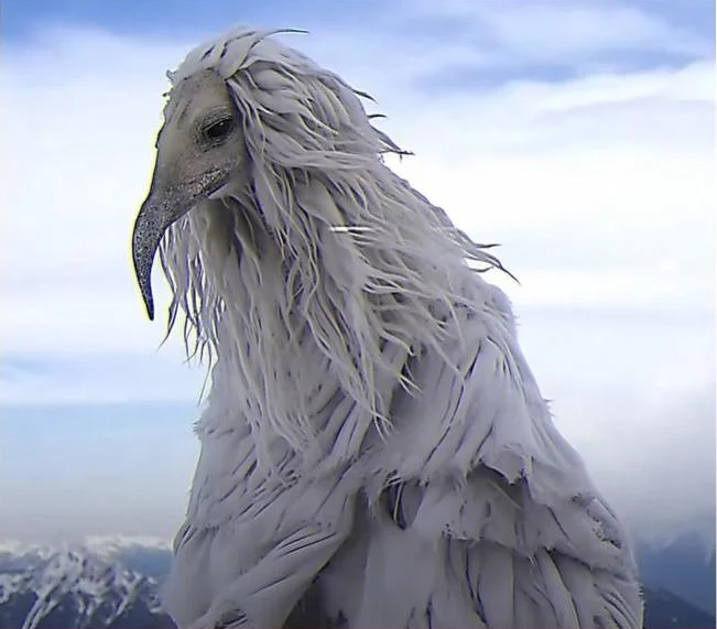 Опиумную птицу высотой 14 футов обнаружили в Антарктиде