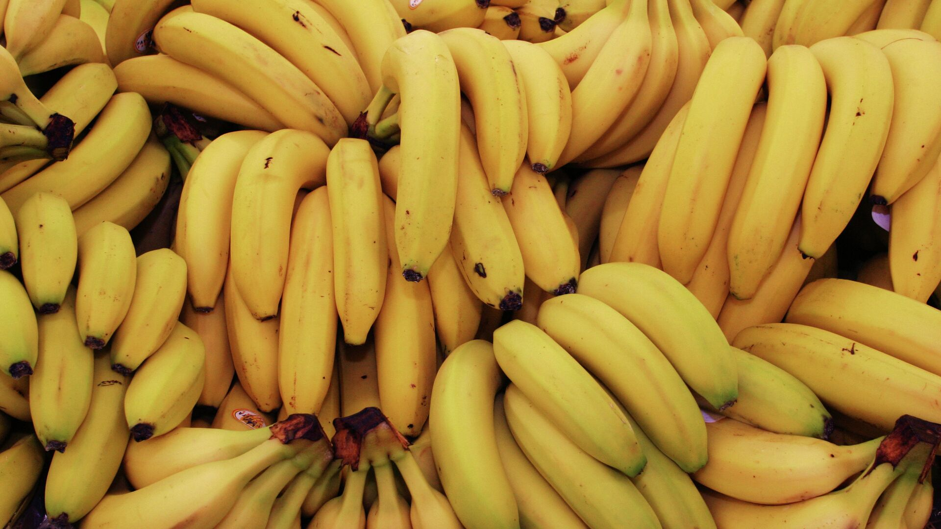 Продающиеся на рынке бананы «вакцинированы»