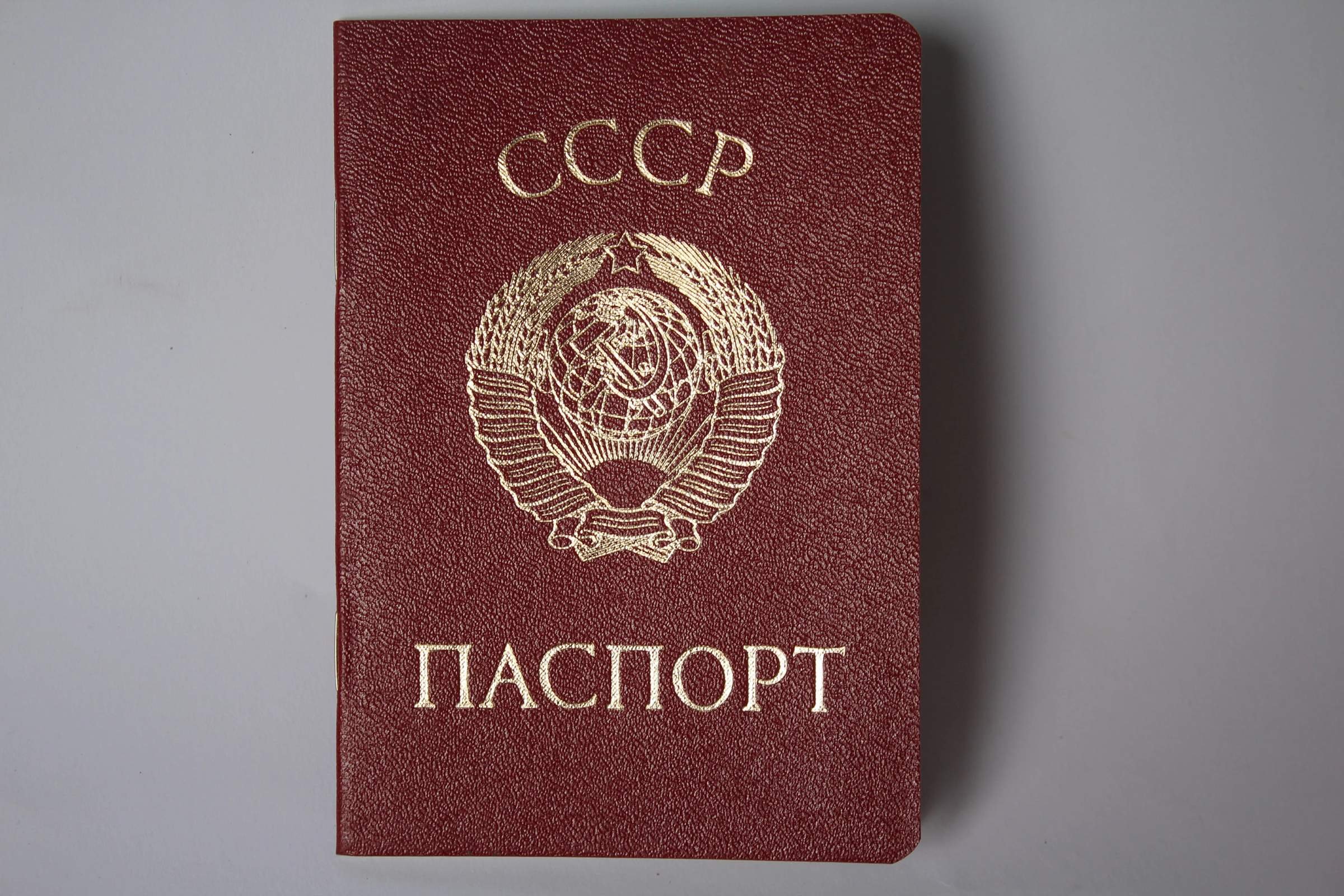 Россияне являются гражданами Советского Союза, поскольку Конституция РФ недействительна