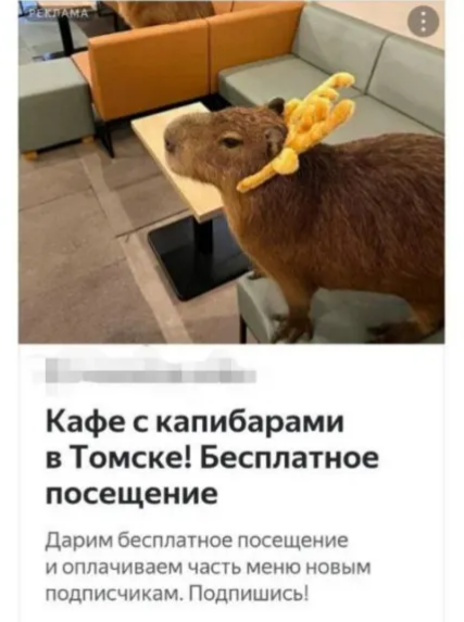 Snimok Jekrana 2025 04 29 121035
