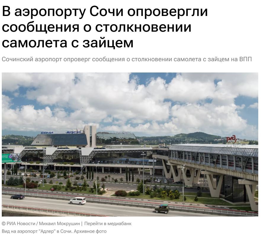 Zajac Sochi Ria